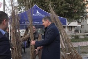 7673bfb584dcfa5635f27fa5d978a989